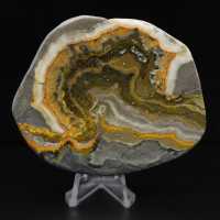 Ornamento a forma di calabrone in diaspro lucidato, Indonesia, raro