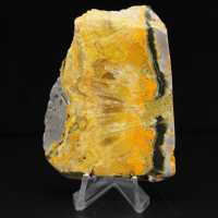 Jasper Bumblebee