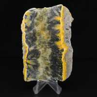 Piccolo esemplare affettato di Jasper Bumblebee