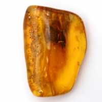 Ambra baltica – Oggetto di mineralogia