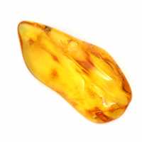 Ambra gialla dalla Lituania – Ciottolo naturale, esemplare da collezione