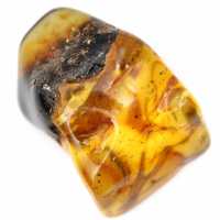 Autentico ciottolo di ambra lucidato dalla Lituania - Esemplare di mineralogia Autentico ciottolo di ambra lucidato dalla Lituania - Esemplare di mineralogia