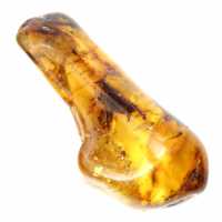 Esemplare di ciottolo d'ambra lucidato - Decorazione e scienza geologica Esemplare di ciottolo d'ambra lucidato - Decorazione e scienza geologica