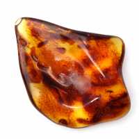 Ambra lituana lucidata: ciottolo per la collezione Fossil Ambra lituana lucidata: ciottolo per la collezione Fossil