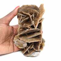 Cristalli di barite marrone dal Marocco