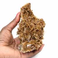 Moneta marocchina in barite con cristalli marroni