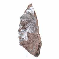 Cristalli di pirolusite grezzi, campione lungo