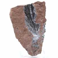 Cristalli di pirolusite autentici su matrice