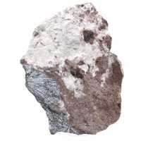 Cristalli di pirolusite su matrice, roccia naturale