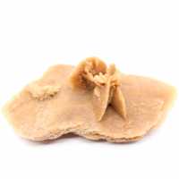 Esemplare di rosa del deserto marocchina: geometria del deserto