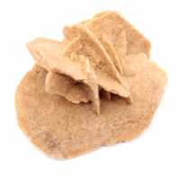 Mini Rosa del Deserto Marocchina: esemplare di gesso naturale