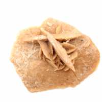 Rosetta minerale del Marocco: cristallizzazione del gesso