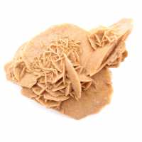 Rosa del deserto del Marocco: consistente cristallo di gesso