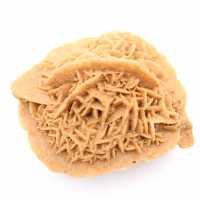 Esemplare di rosa del deserto marocchina: cristallizzazione densa