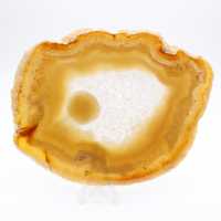 Agata brasiliana: Fetta di lusso