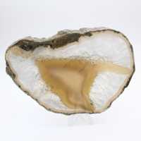 Fetta di agata con bande dense