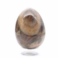 Uovo di microclino di pietra di luna nera