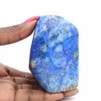 Fossile di ammonite segato e lucidato: brillantezza naturale dal Madagascar