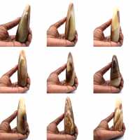 Bastone di calcite Bastone di calcite