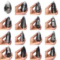 Fossile di Orthoceras dal Marocco