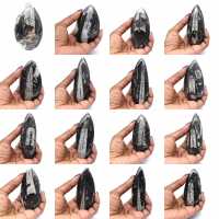 Fossile di Orthoceras dal Marocco Fossile di Orthoceras dal Marocco