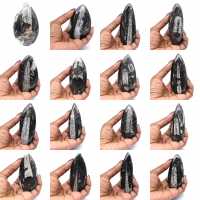 Fossile di Orthoceras dal Marocco