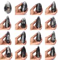 Fossile di Orthoceras dal Marocco Fossile di Orthoceras dal Marocco