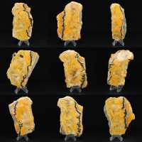 Jasper Bumblebee Jasper Bumblebee