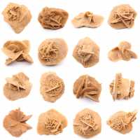 Piccola rosa del deserto del Marocco: frammento geologico naturale