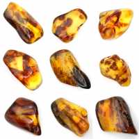 Piccolo ciottolo d'ambra lucidato dalla Lituania - Collezione mineralogica