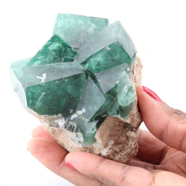 Cristalli cubici di fluorite verde su fluorite massiccia