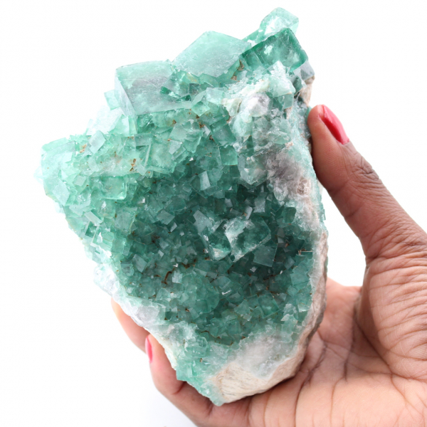 Cristalli cubici di fluorite verde su fluorite massiccia