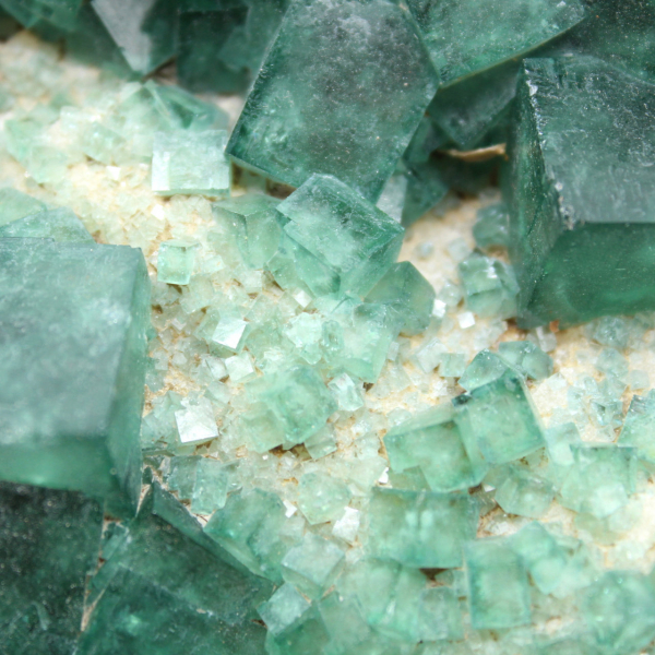 Cubetti di fluorite verde cristallizzata da quasi 4 kg