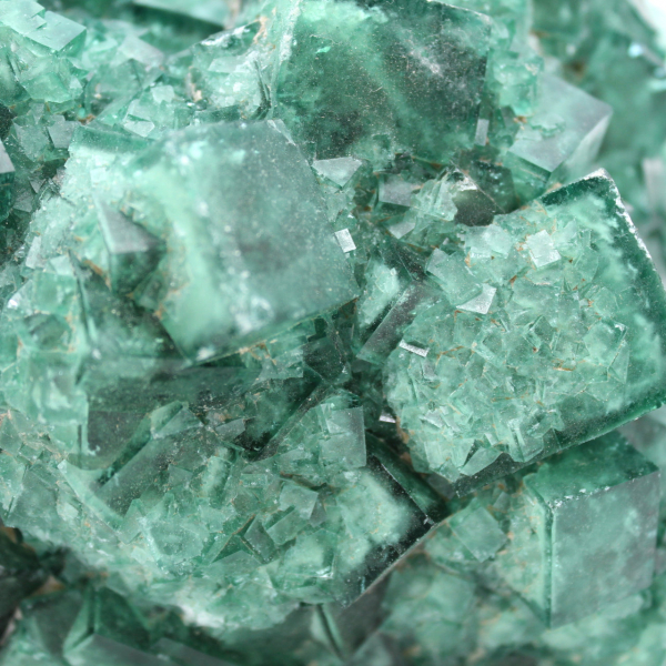 Cristalli cubici di fluorite su matrice 2,5 kilo