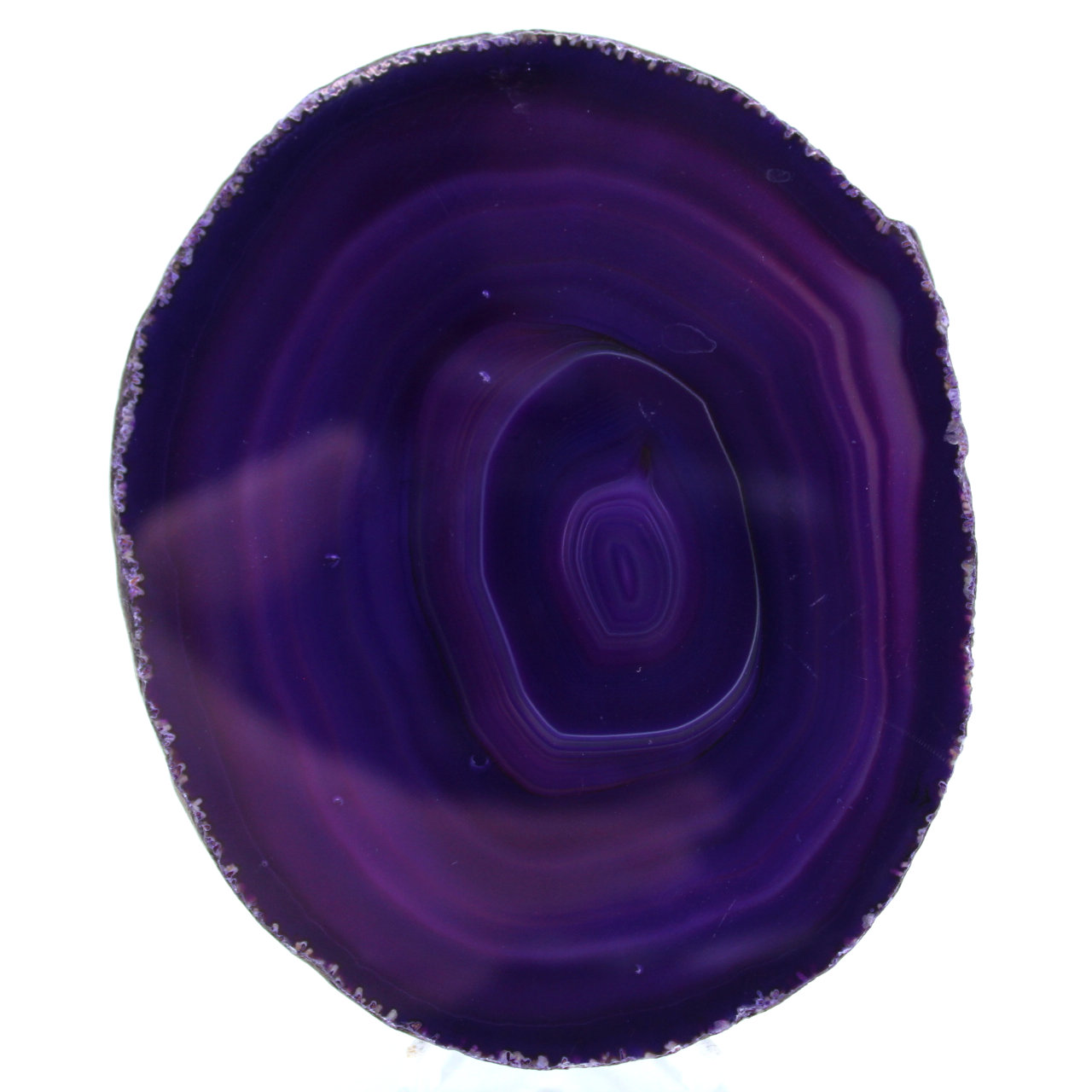 Agata viola ornamentale