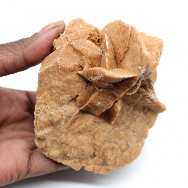 Desert Rose Algeria 800gr 22cm