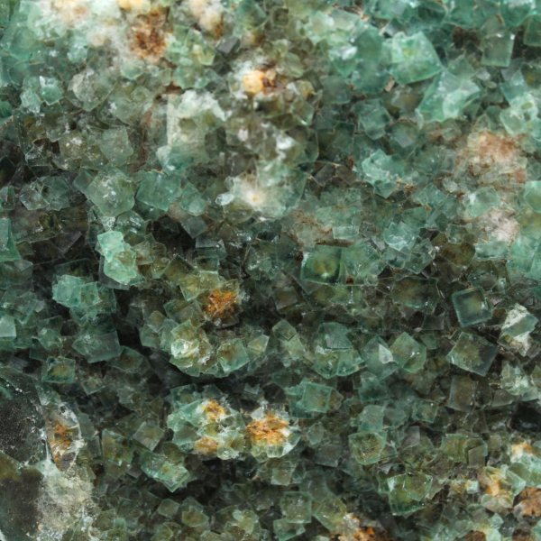 Fluorite cubica cristallizzata