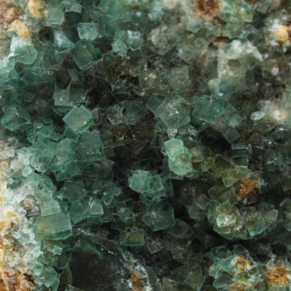 Fluorite cubica cristallizzata