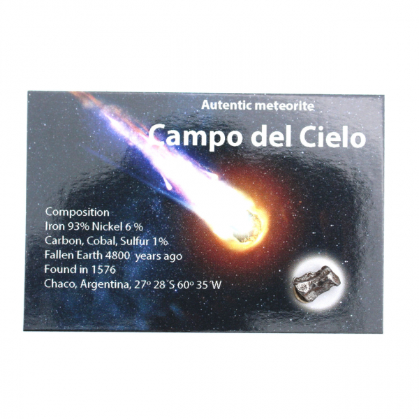 Meteorite Campo del Cielo