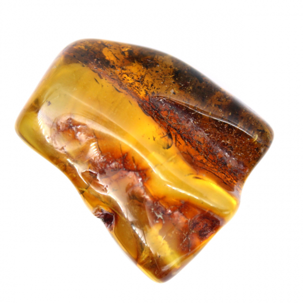 Ciottolo d'ambra fossilizzato