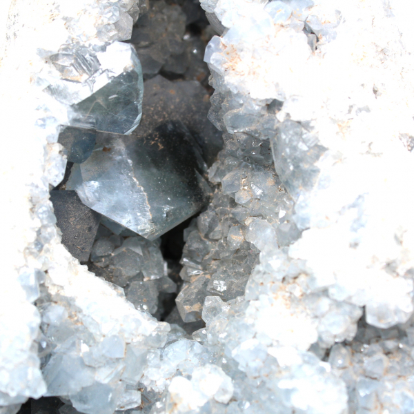 Cristalli grezzi di geode di celestite