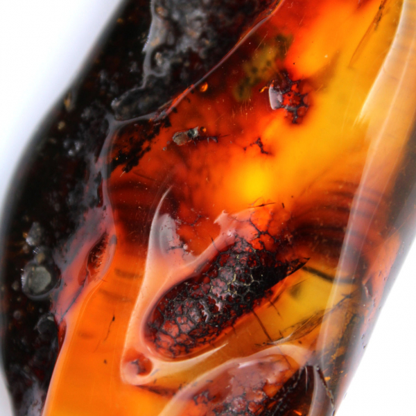 Ciottolo d'ambra fossilizzato