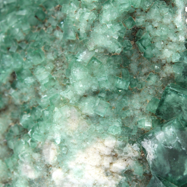 Cristalli di fluorite grezzi su ganga