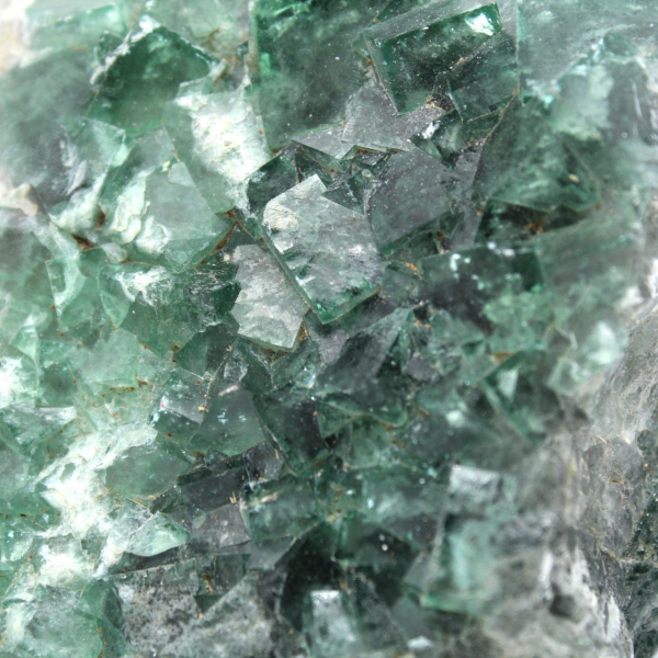Cristalli cubici di fluorite sulla ganga