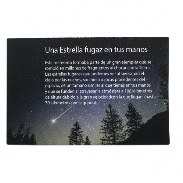 Frammento di meteorite