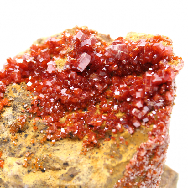 Cristalli di vanadinite