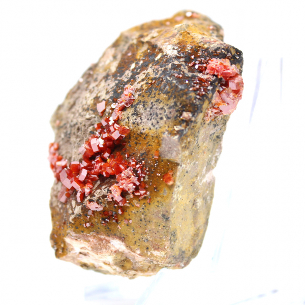 Cristalli di vanadinite sul gange