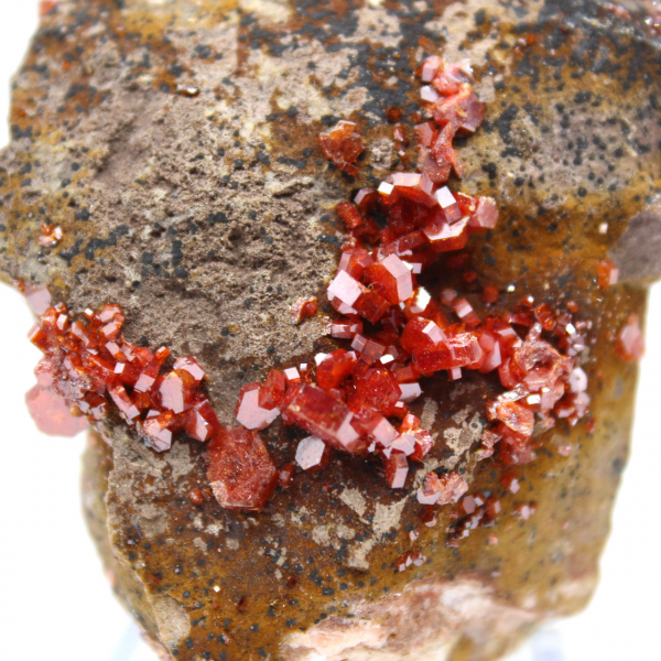 Cristalli di vanadinite sul gange