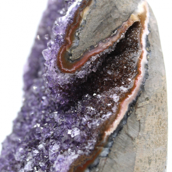 Geode di ametista