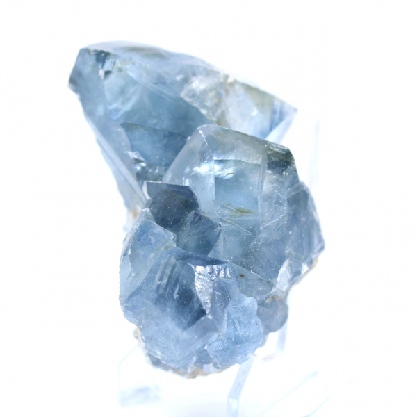 Cristalli grezzi di celestite